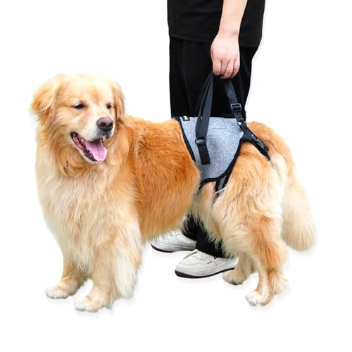 ZIDUEBIL 【Upgraded】 Dog Lift Harness for Large Dogs Support Up to 110lb with Handles Locks - Quick-Release Adjustable Mobility Support Harness for Arthritis Surgery Recovery Disabled Elderly Dogs (L)