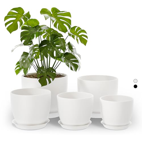 Bamworld 5 Pack Indoor Plant Pots with Drainage Holes and Saucers - Multi-Size Flower Pots for Indoor Outdoor Use Plastic Plant Pot for Home Gardening Containers Containers(White)