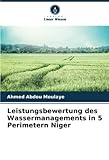 Leistungsbewertung des Wassermanagements in 5 Perimetern Niger - Ahmed Abdou Moulaye 