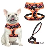 PUPTECK Soft Mesh Dog Harness and Leash Set Pet Puppy Cat Comfort Padded Vest No Pull Harnesses, Halloween Orange, M