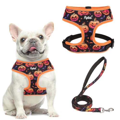 PUPTECK Soft Mesh Dog Harness and Leash Set Pet Puppy Cat Comfort Padded Vest No Pull Harnesses, Halloween Orange, M