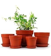 Vodotion 6.6/5.6/4.9/4.3/3.7 Inch Flower Pots, 5 Packs Thick and Sturdy Plastic Pots, Indoor/outd...