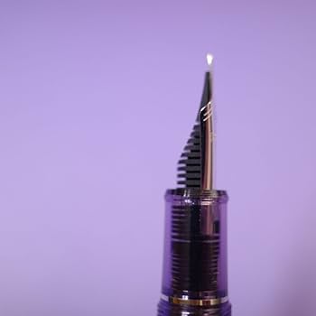 Platinum CENTURY #3776 紫雲　万年筆　字幅B Amazon | 富士旬景シリーズ #3776 紫雲B プラチナ 万年筆 紫雲