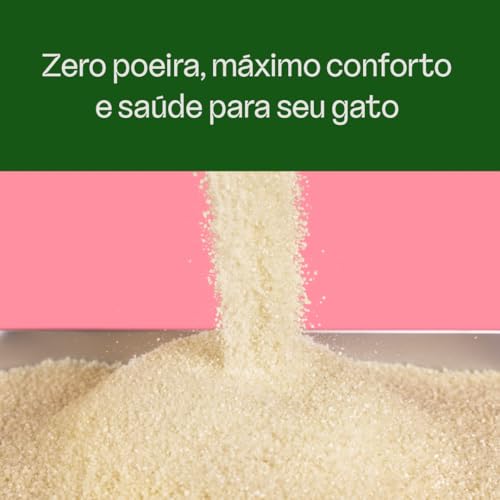 Viva Verde Areia Higiênica Biodegradável Para Gatos Grãos Mistos 4Kg