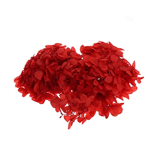 Flores Secas Hortensia Natural 10g para Decoración miniatura 1