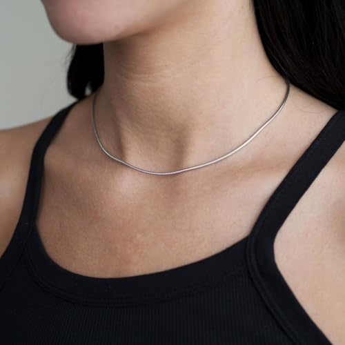 Snake Chain Necklaces for Women 14k Gold Plated Necklace Simple Cute Necklaces for Women Stainless Steels Dainty Choker for Women