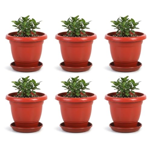 Image of Bonkaso 12 Inch Plant Pots with Drainage Plate (Set of 6, Red) | Heavy Duty Plastic Flower Pots for Indoor & Outdoor Plants | UV Resistant Garden Pots for Balcony, Terrace, Home & Nursery