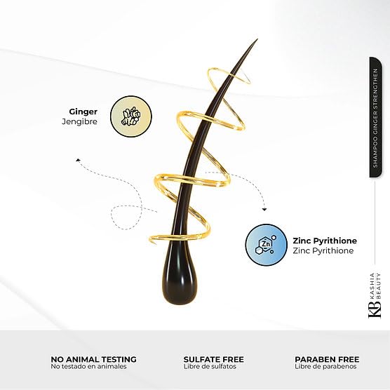 KASHIA BEAUTY Ginger Strengthen Shampoo 237 ml – Hair Loss Prevention, Scalp Circulation & Dandruff Control – Deep Clean, Oil Balance & pH-Balanced for Sensitive, Oily Scalp - Image 3