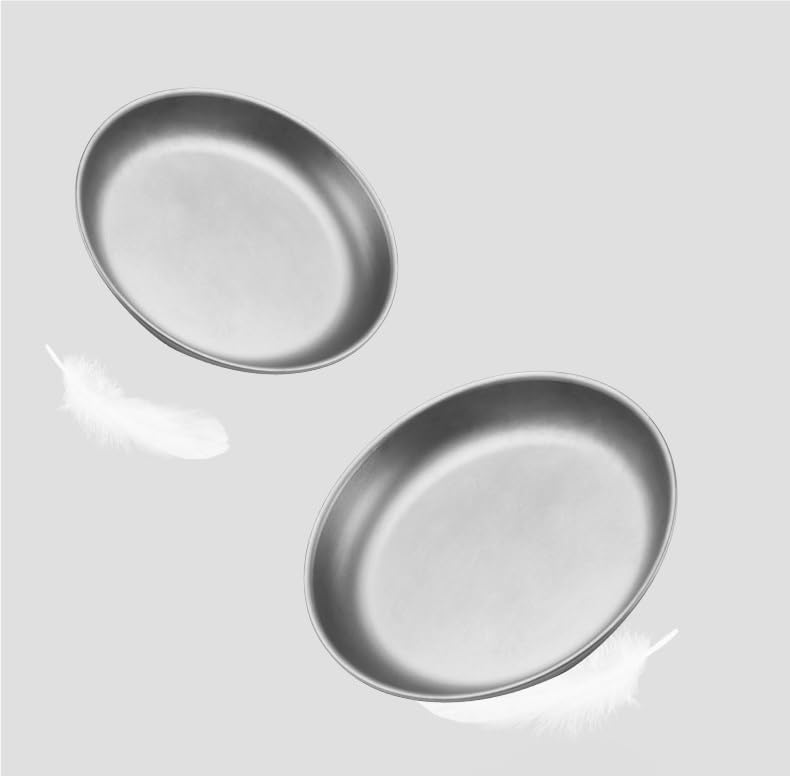 1PC Pure Titanium Plate, Ultra-Light Portable Tableware Suitable for Outdoor Camping Or Home Use