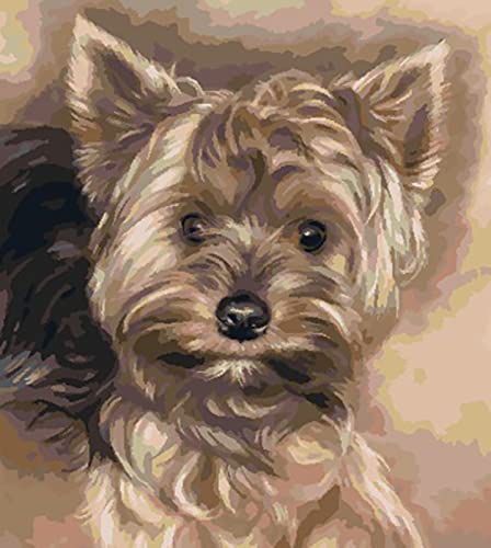 Kit de Broderie Point de Croix Estampé Débutant Loisir Créatif Chiot 11CT