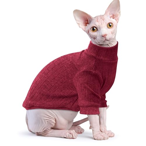 Vêtement doux pour chiot et chat Sphynx : le pull à col roulé contre le froid