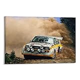 Vintage Auto Poster Audi Sport Quattro S1 Rallye Car Racing 