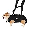 Notfallrucksack Test - für erfolgreiche Erste-Hilfe-Einsätze - Vergleich der besten Notfallrucksäcke 2025