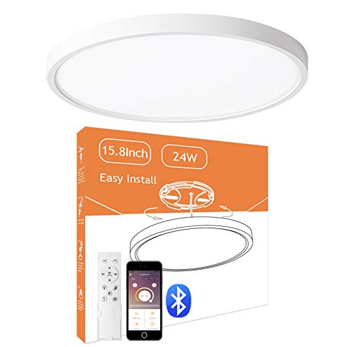 Black Friday - 70% OFF CycevSun 15.8 Inch LED Ceiling Light with Remote 24W - Dimmable and Color Temperature Changable, Hardwire 120V, 2400LM, CRI90