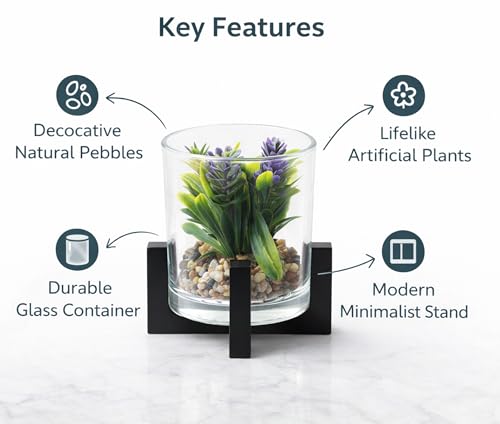 Image of CURATED CART Artificial Plant with Glass Pot for Home Decor, Mini Small Decor Item, Fake Succulent Plant for Office Des, Home Decoration, Artificial Plant with Pebbles & Wooden Stand
