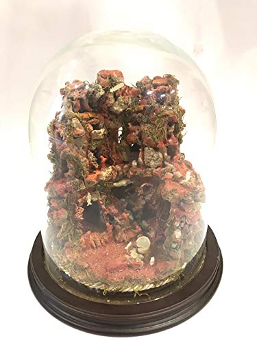  Euro Glass Angelo Presepe in Corallo in Campana di Vetro 20 x 25