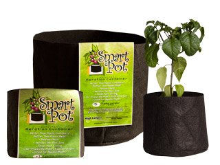 Smart Pot Black 30 Gallon (50/Cs)