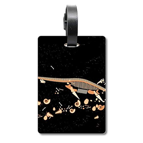 Étiquette pour valise dinosaure noir Bones ultra visible et résistante