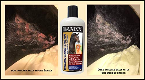 Banixx Wound Care Cream 8Oz #TOP3