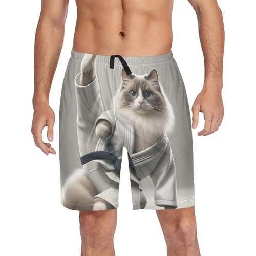 Colorful Pajama Mens Shorts Athletic Pj Sleep Shorts Funny Soft Comfy Kung Fu Cat Ragdoll S4