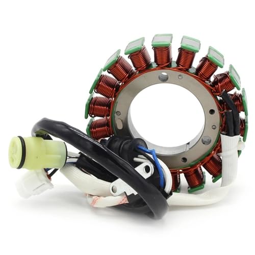 Bobine moto allumage stator générateur pour HS500UTV YS700