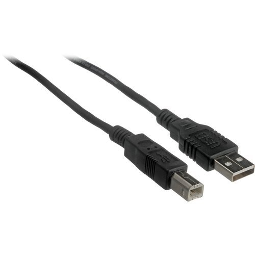 Pearstone USB 2.0 Type A Male to Type B Male Cable - 6' (1.8 m)