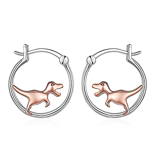 YFN Pequeños pendientes de aro de plata de ley, el regalo ideal para mujeres y niñas
