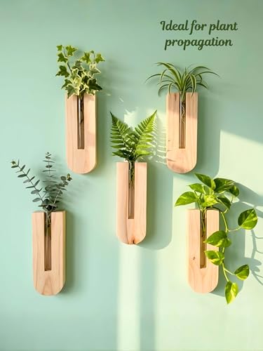Image of Bombay Greens Planter with Wooden Holder | Test Tube Plant Indoor Stand | Wooden Planter for Home Decor, Living Room, Balcony & Office Decoration