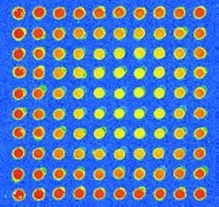 Aminopropylsilane (APS) Slide, 20/BX