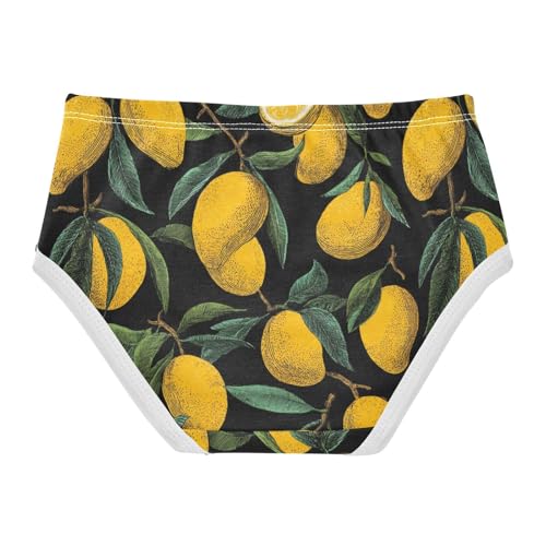 Wusikd Mango Girls' Underwear Cotton Girls Briefs Soft Toddler Underwear 2T2