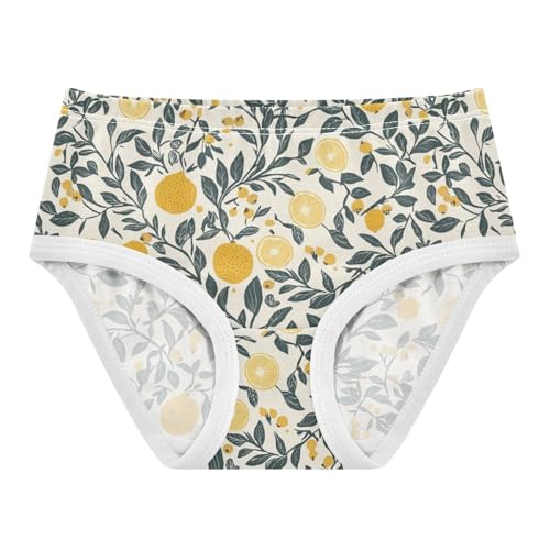 ZZKKO Summer Lemon Farmhouse Girls Underwear Toddler Panties for Girls Comfort Brief Size 2-8T