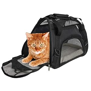 CUBY Transportbox Katze, Atmungsaktive und Faltbare Hundebox mit Verstellbarem, Hundetasche Transportbox mit Abnehmbarer Plüschmatratze, 44x20x30 cm (S)