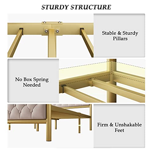 Ipormis Queen Metal Platform Bed Frame, Vintage Upholstered Bed Frame With Button Tufted Headboard & Footboard, Heavy Duty Steel Slats, 12" Underbed Space, Easy Assembly, Noise Free,Gold And Beige #TOP6