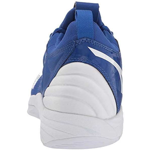 Mizuno Wave Momentum Mens Heren Volleybal Schoen