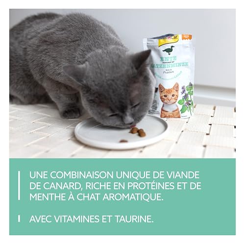 GimCat Crunchy Snacks Canard avec Herbe à Chat - Friandise pour Chat croustillante et Riche en protéines - 1 Sachet (1 x 50 g) – Image 4