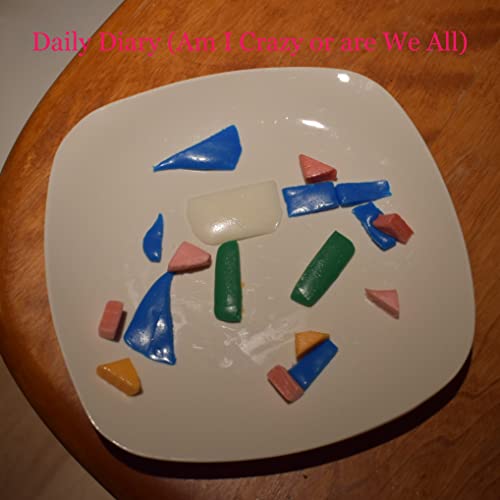 Daily Diary (Am I Crazy or are We All) cover art