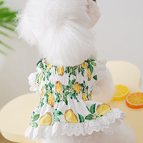 Dog Dress Dog Lovely Fruit Dress Cat Dress Dog Skirt Soft Breathable Dog Cotton Summer Dress For Small Medium Large Dog Girls Puppy Lightweight Pet Dresses #TOP5