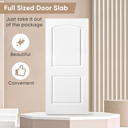 Image of BARNSMITH 36x80 in Raised 2-Panel Arch Top White Primed Interior Door Panel