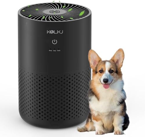 Air Purifiers for Home Bedroom,KQLKJ H13 True HEPA Air Purifier with Fragrance Sponge for Better Sleep, Pollen, Smoke, Dusts, Pets Dander, Odor, Small Air purifier for Office,Dorm Room(Black)