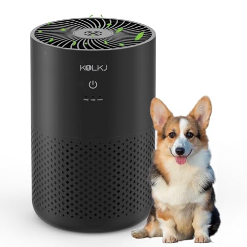 Air Purifiers for Home Bedroom,KQLKJ H13 True HEPA Air Purifier with Fragrance Sponge for - image 1