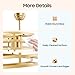 INPAITOO Caged Ceiling Fan, 20-Inch Gold Fan Chandelier Light, Gold Fandelier Ceiling Fan and Remote Control, Modern Tool with Light for Living Room, Bedroom, Dining Area
