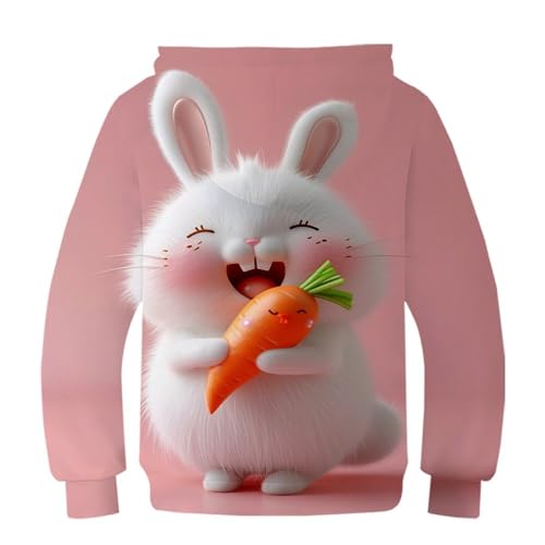 Pull sport à capuche garçon pour stopper le froid sweat 3D lapin ado - 2
