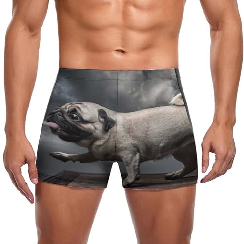 Swim briefs homme Chien Volant swimming trunks pour piscine