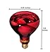 TheraBulb NIR-A Near Infrared Bulb - 250 Watt - 120 Volt