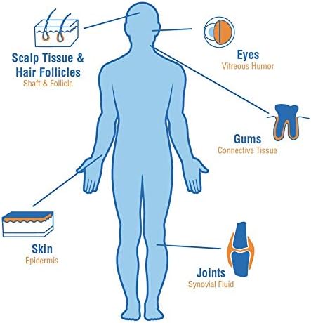 Miniatura 7 de Hyalogic Cápsulas de liberación retardada de ácido hialurónico de 120 mg  Suplemento para la piel con glucosamina MSM  Suplemento alimenticio para