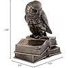 Top Collection Owl on Book Statue - Great Horned Owl Sculpture in Premium Cold Cast Bronze- 7-Inch Collectible Animal Figurine