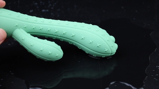 Amazon.com: Cactus Fancy Dildo Adult Sex Toys for Women Clitoral Nipple  Stimulator,G Spot Heating with 10 Powerful Vibrating Modes,Waterproof  Prostate Massage Wand Anal Stimulator for Adult Sex Toy Couples Fun : Health