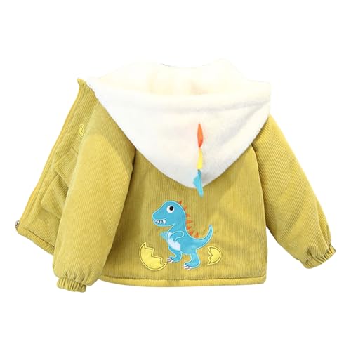 R[g LbY ~ LbY ׃r[ _EWPbg t[ht AE^[ j̎q ̎q H~ xr[ K[Y {[CY  ȃR[g h OJ WbvAbv hAE^[ H ~ ʉ ʊw o a