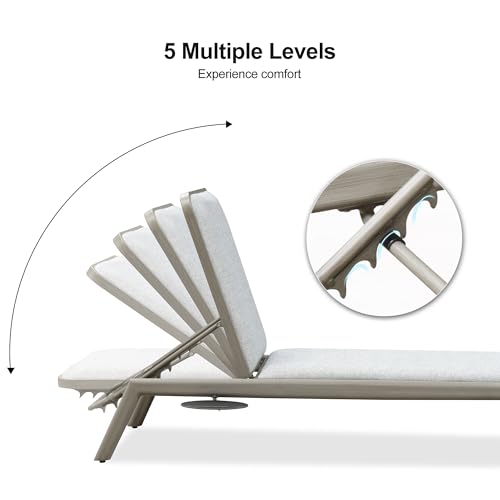 Image of PURPLE LEAF Patio Lounge Chair Set of 2 Adjustable Heavy-Duty Gray
