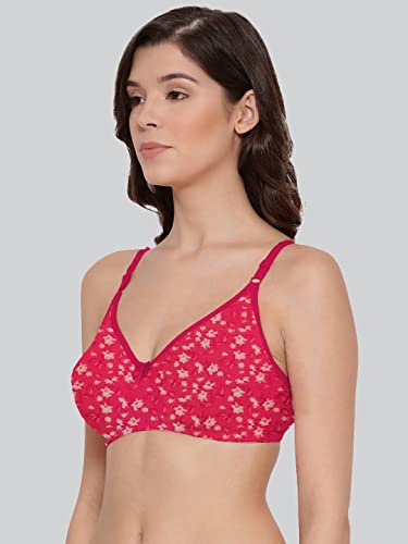 Image of Lyra Women Bra